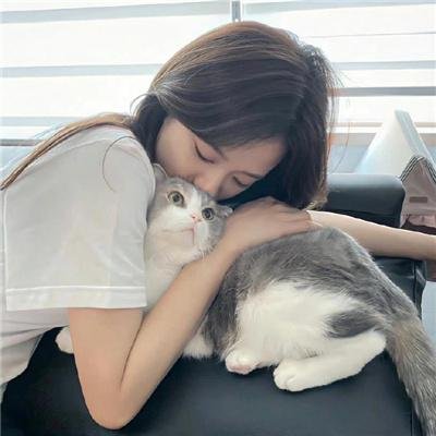 老虎的眼睛